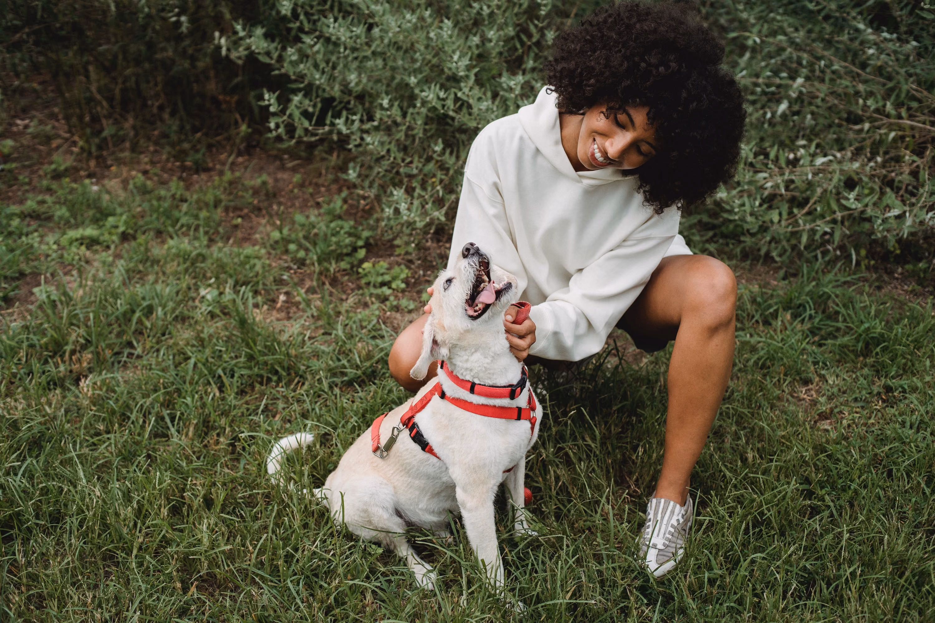 Woman with dog stock image