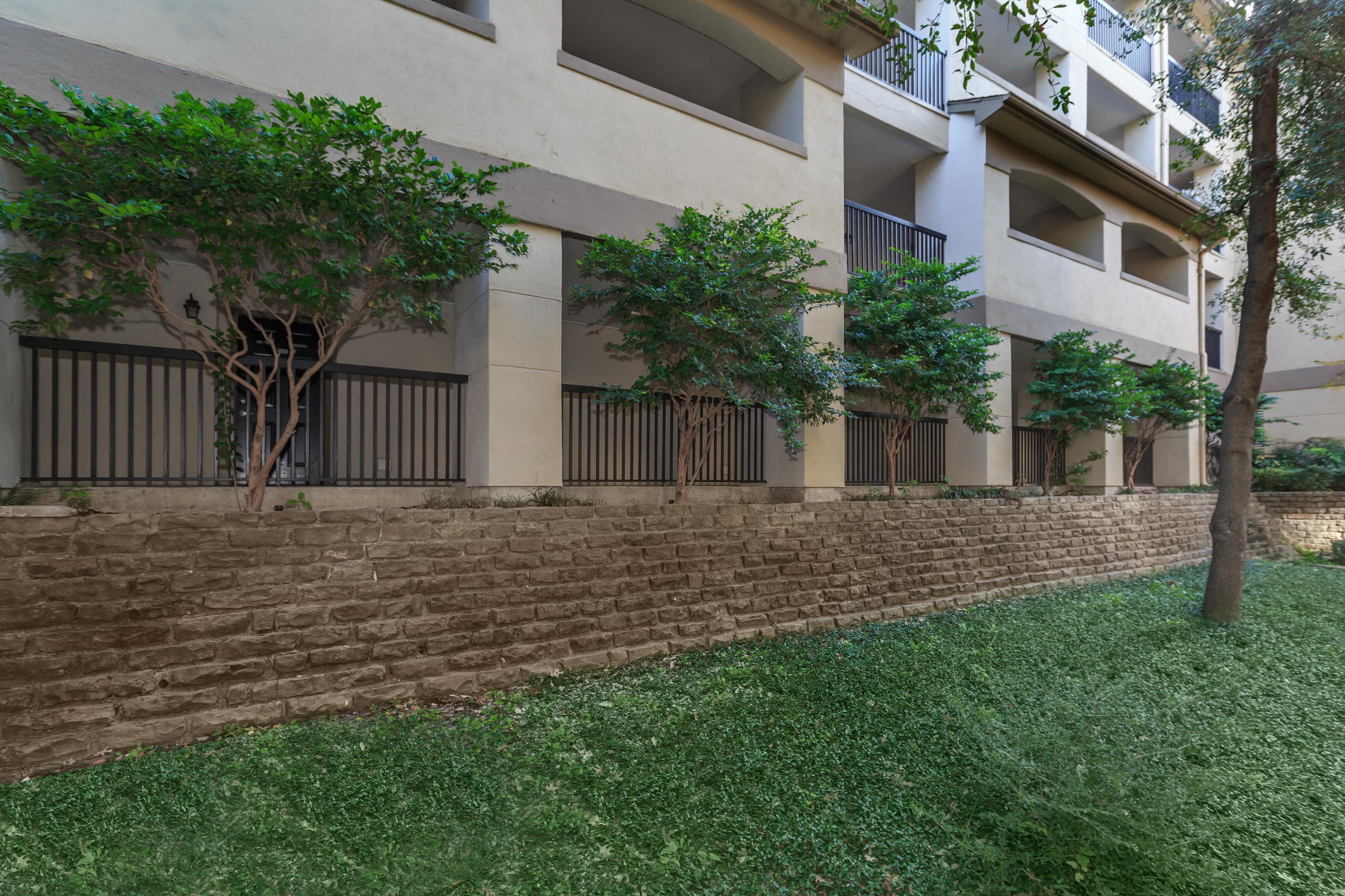Open green grass area