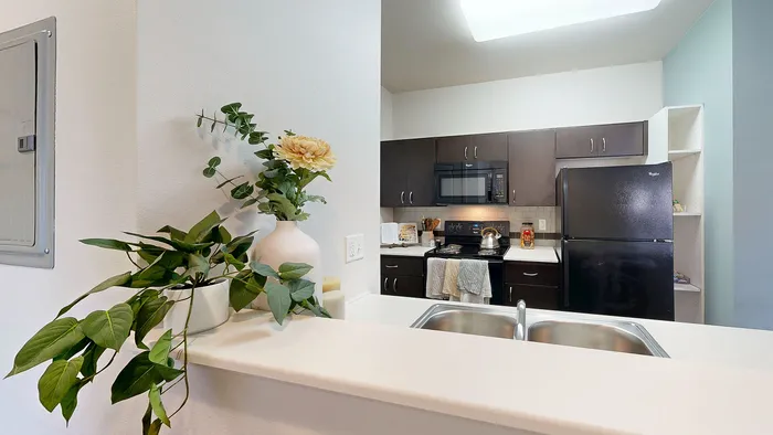 Kitchen with raised countertop on divider wall