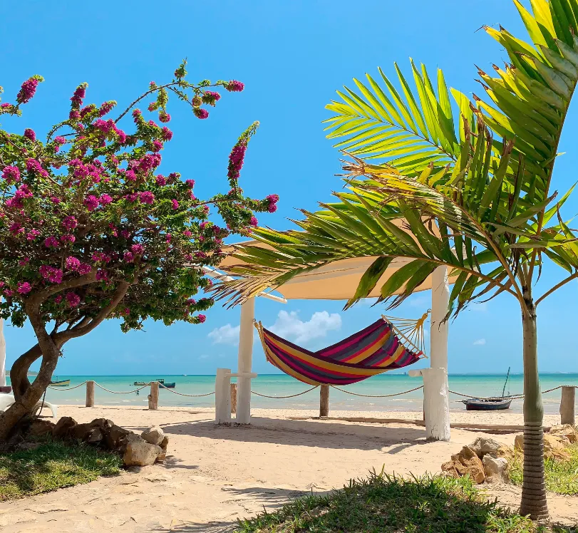 Shaded outdoor seating surrounded by tropical greenery at SAMARA Lodge Vilanculos, Mozambique.