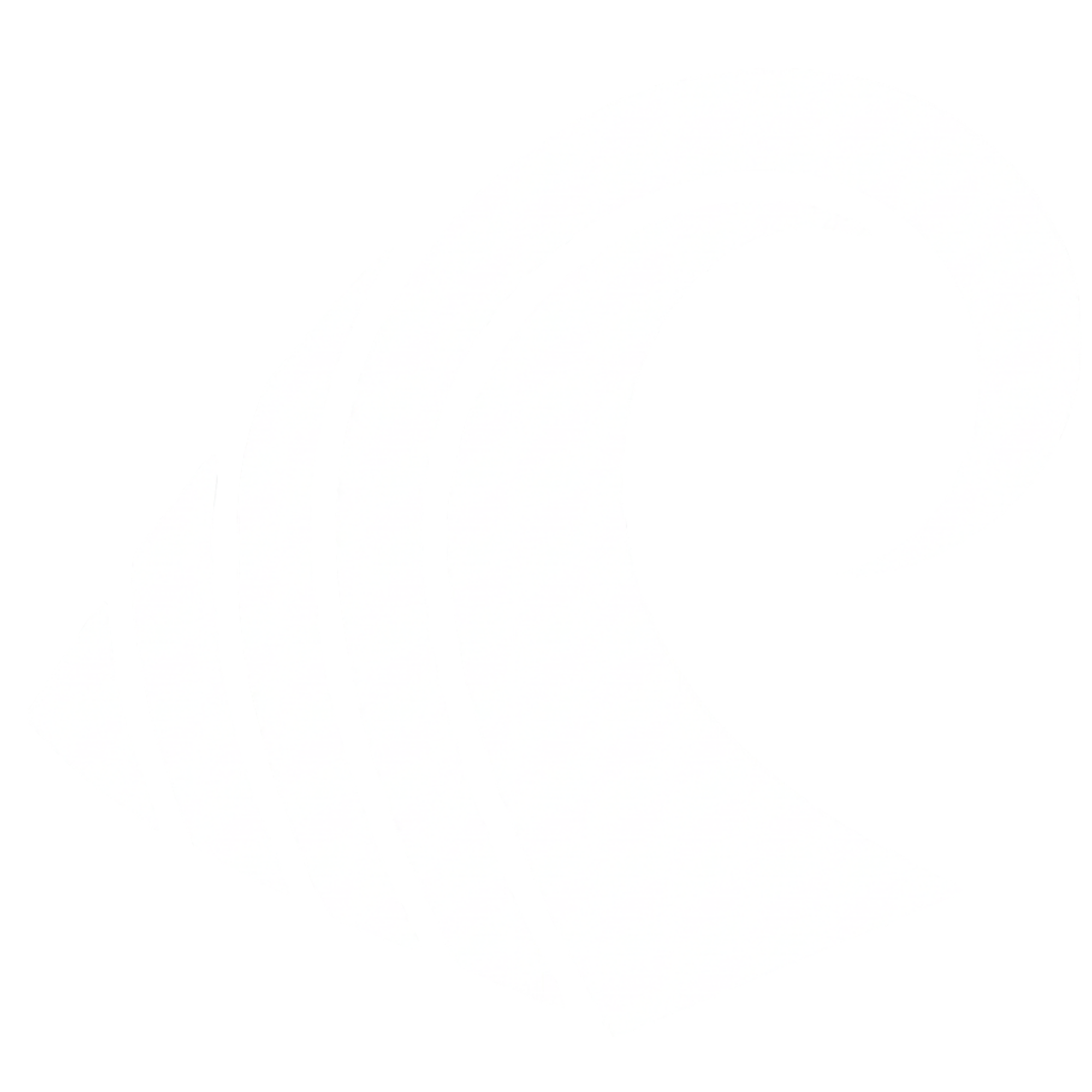 Pair & Hoang Orthodontics icon