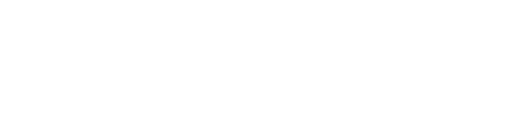 VINCI