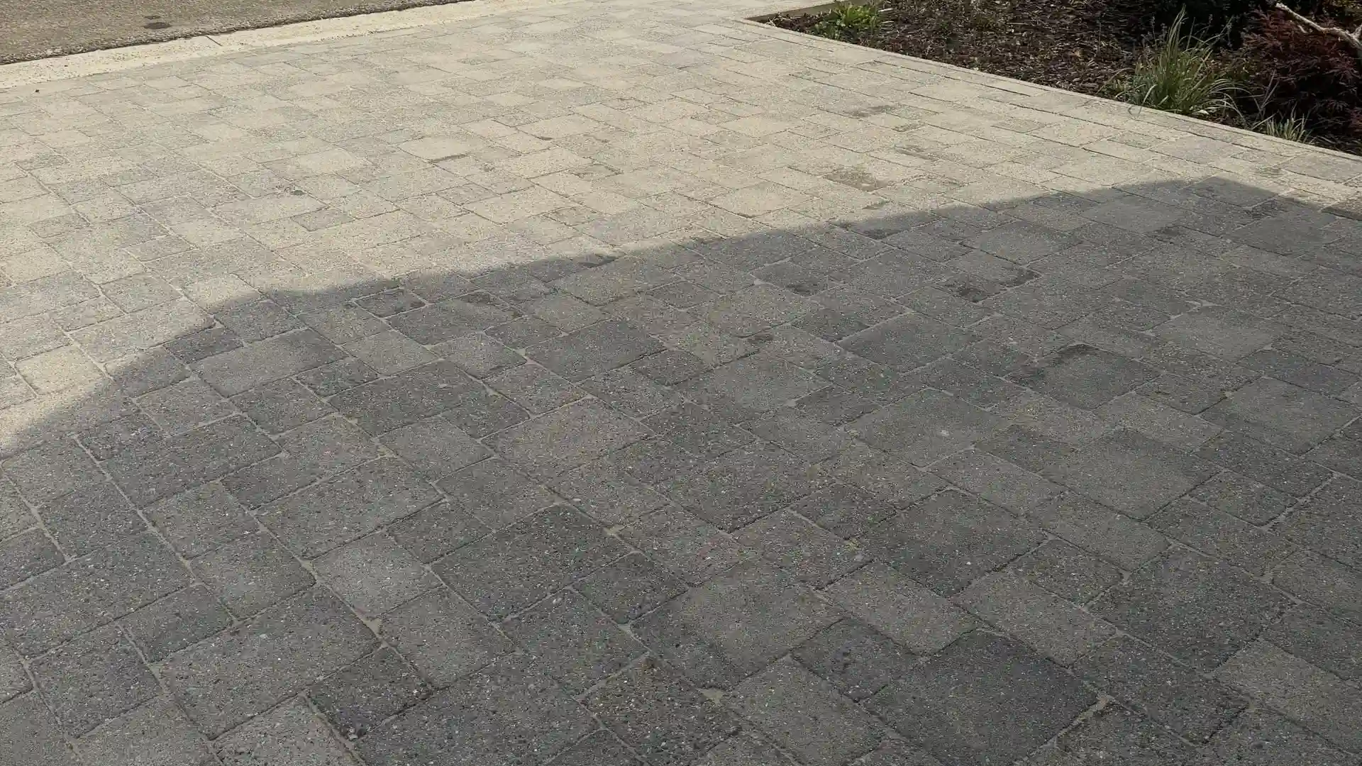 Allée en pavés gris, avant nettoyage