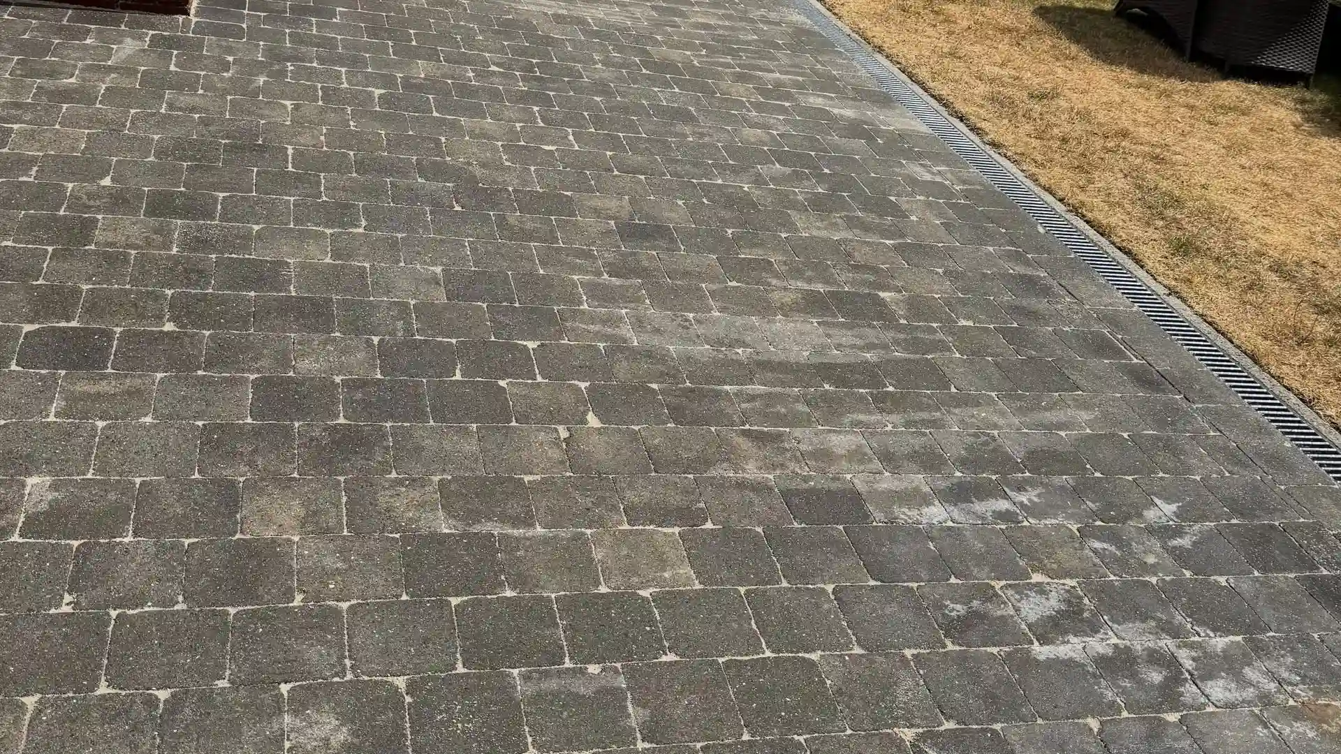 Allée en pavés gris avec caniveau, avant nettoyage
