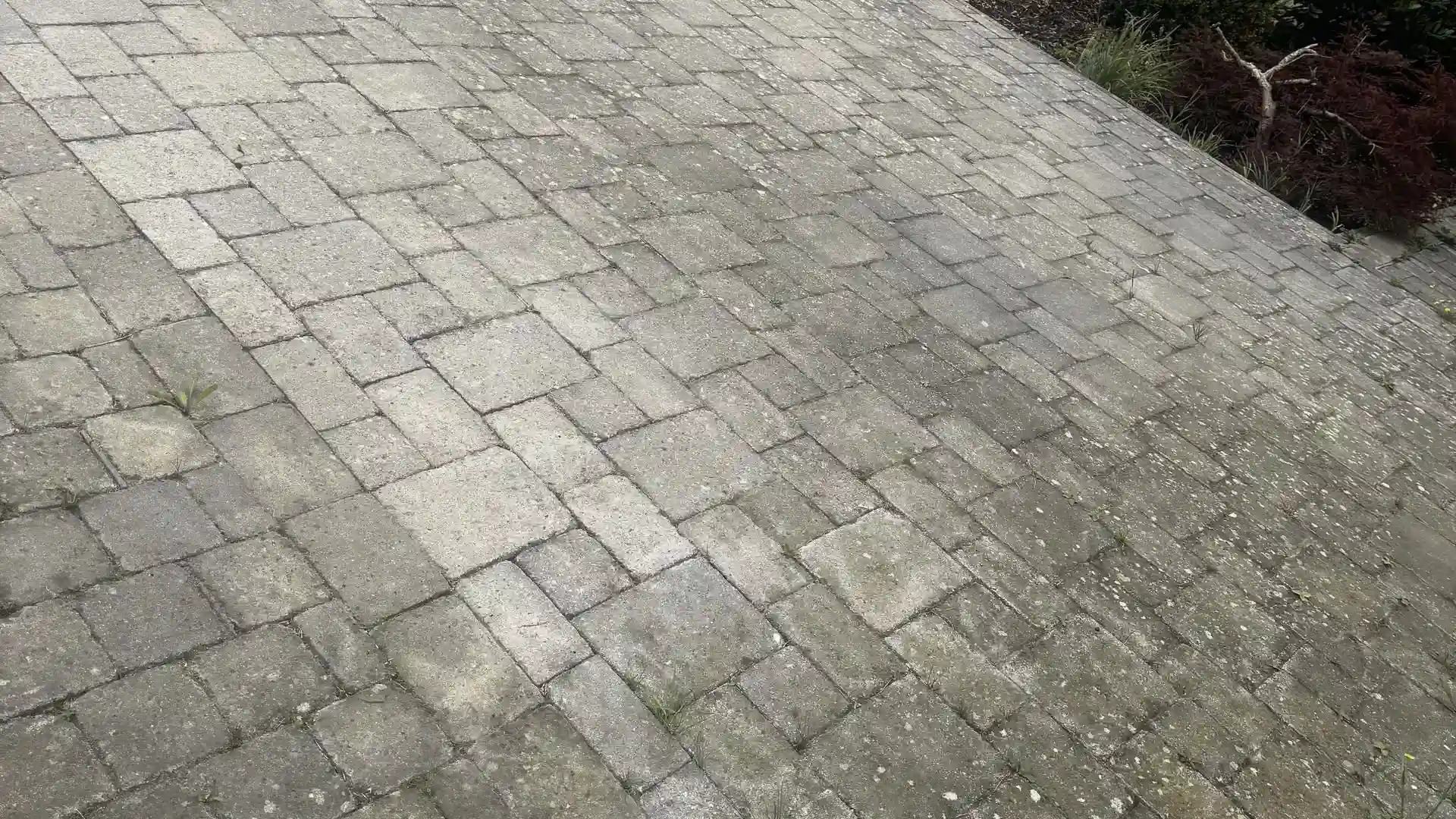 Allée en pavés gris, après nettoyage