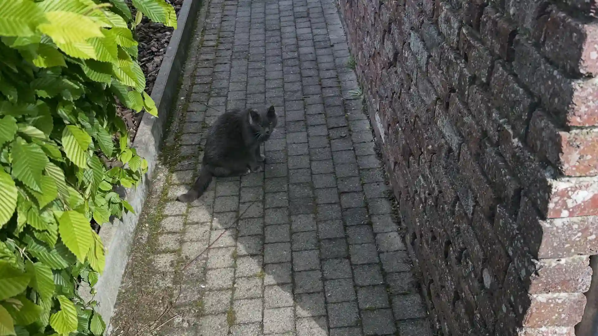 Avant intervention