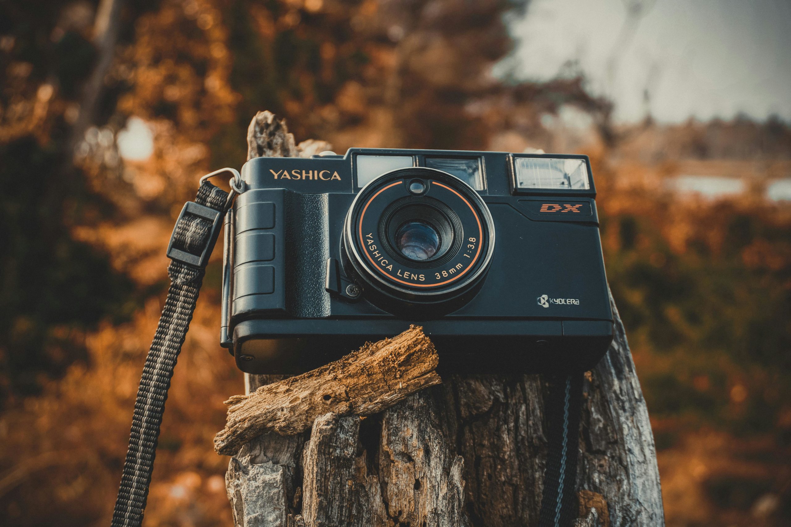 Eine Nahaufnahme einer Kompaktkamera mit Retro-Design, platziert auf einem Baumstamm mit herbstlicher Kulisse. YouTube Equipment für unterwegs und flexible Drehs.