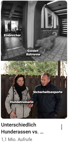 YouTube Kurzvideo-Screenshot: Vergleich von Hunderassen im Sicherheitsbereich. Erfolgreiche Nutzung von Kurzvideos für informative Inhalte.