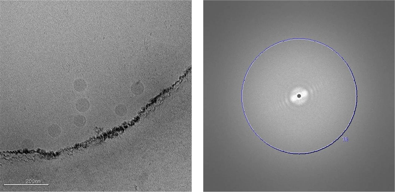 Microscopic black and white image of cryo-TEM imaging | nanoparticle characterization at nanoimaging services