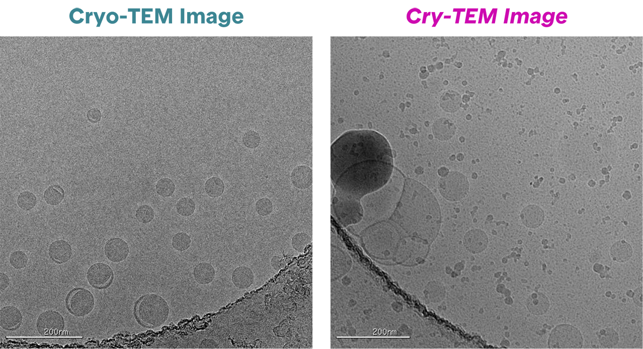 Microscopic black and white image of cryo-TEM imaging | nanoparticle characterization at nanoimaging services
