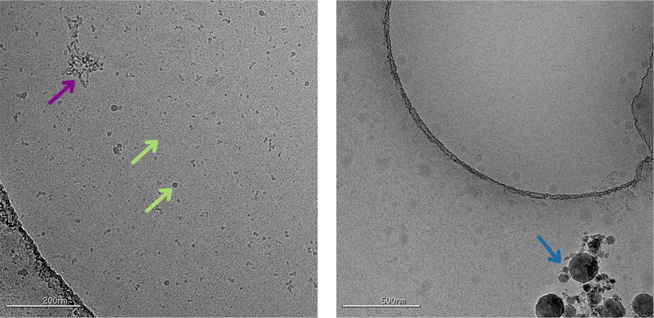 Microscopic black and white image of cryo-TEM crystalline ice contamination imaging | nanoparticle characterization at nanoimaging services