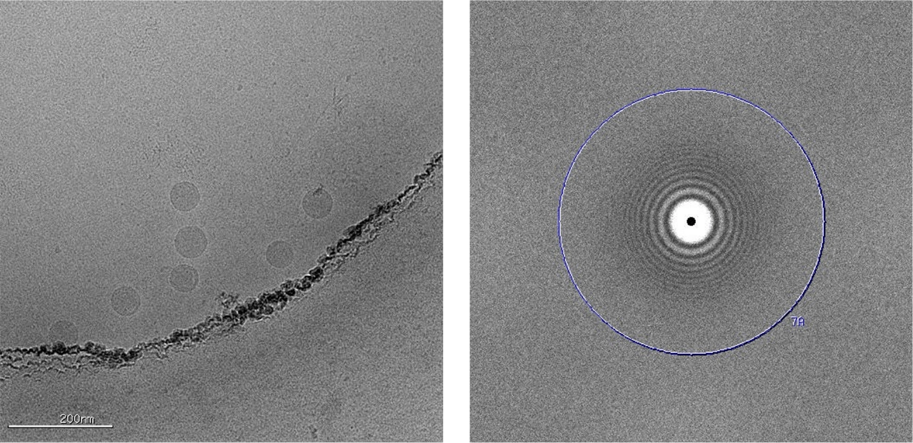Microscopic black and white image of cryo-TEM imaging | nanoparticle characterization at nanoimaging services