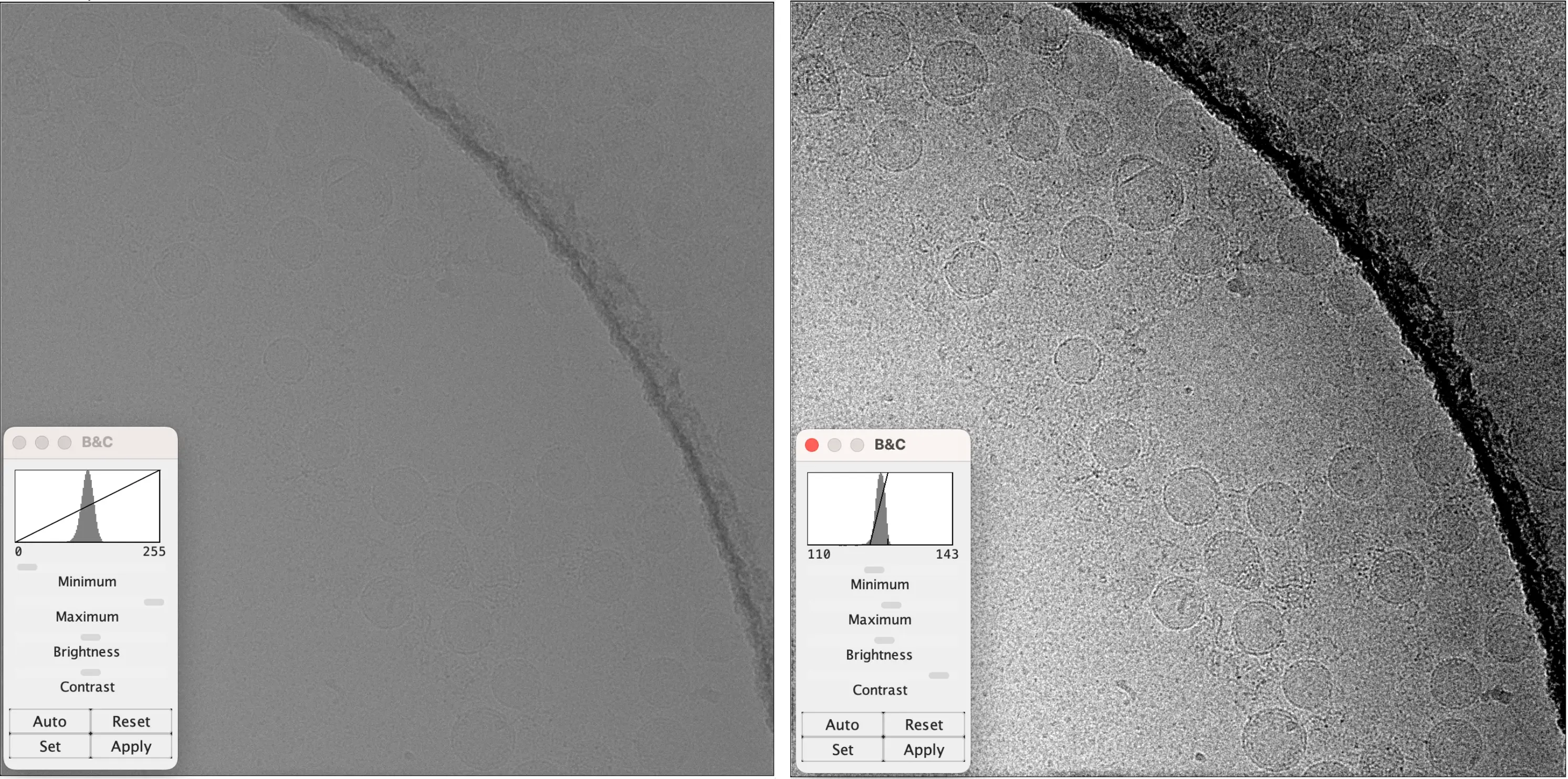 microscopic black and white TEM image showing contrast adjustments to TEM images, before & after | NIS