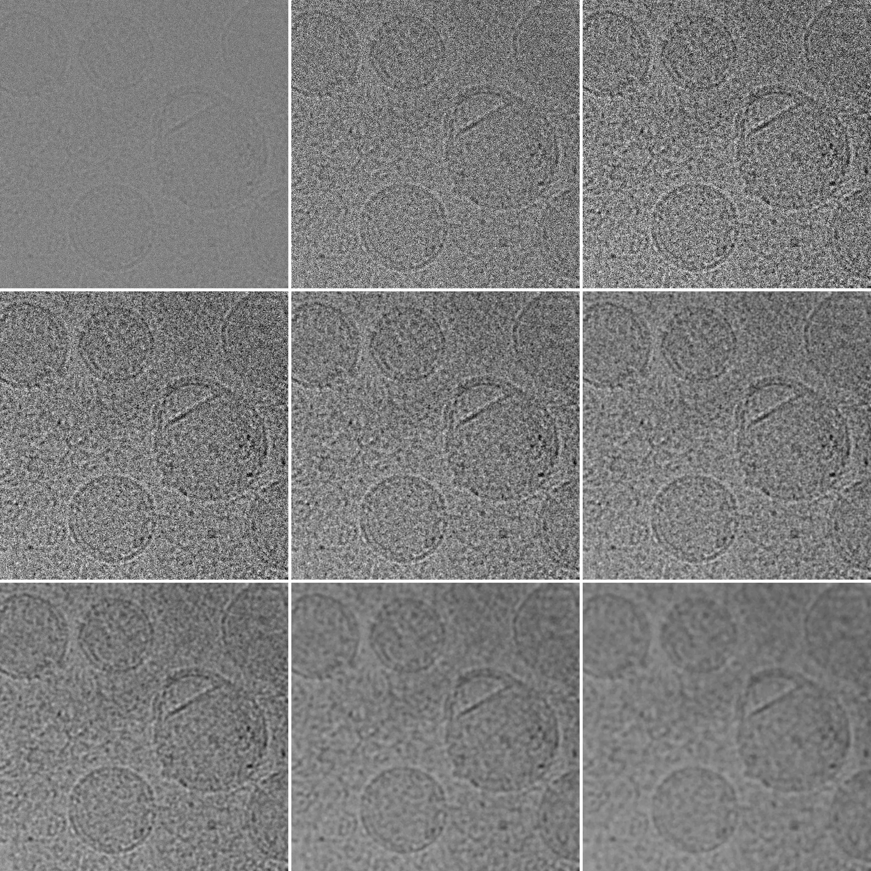 microscopic black and white TEM image showing contrast adjustments to TEM images, before & after | NIS