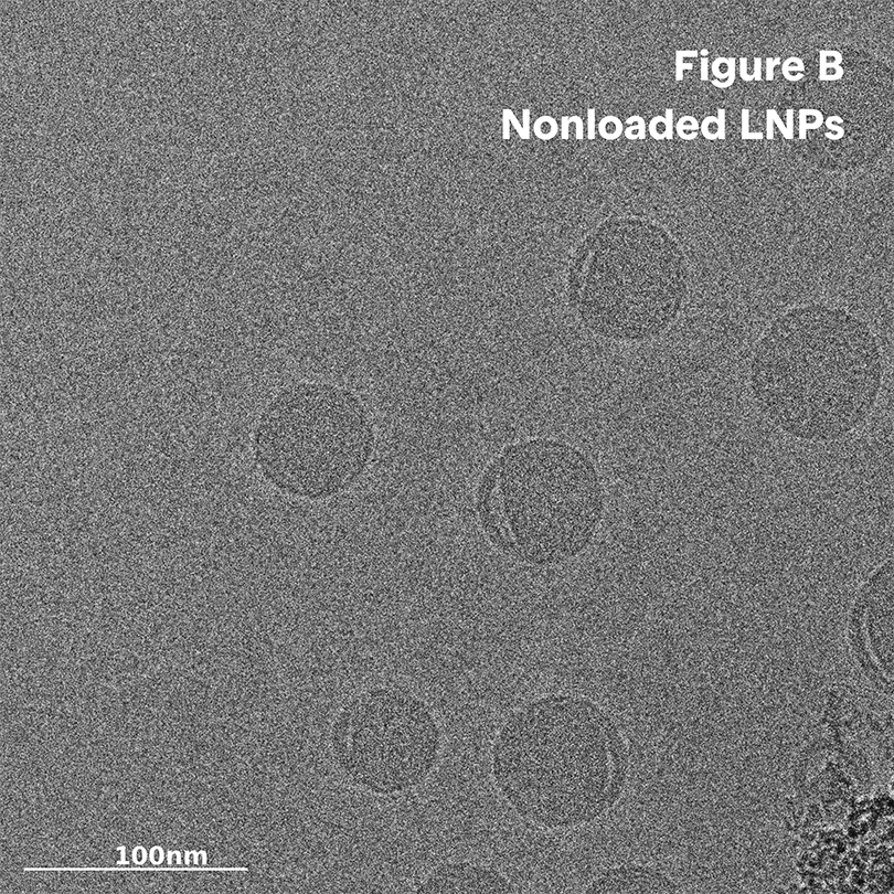 Black and white image of cryo-tem image of lnp characterization analysis encapsulation efficiency mrna encapsulation payload distribution | lipid nanoparticle characterization |nano imaging