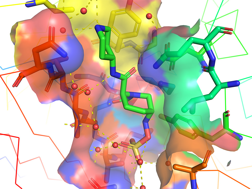 CryoEM high resolution structure of complex protein molecule