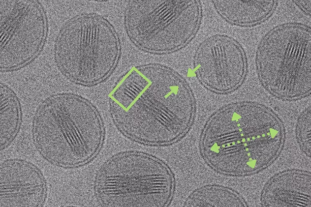 Visualizing Nanomedicines: Understanding Your Nanoparticle Formulations
