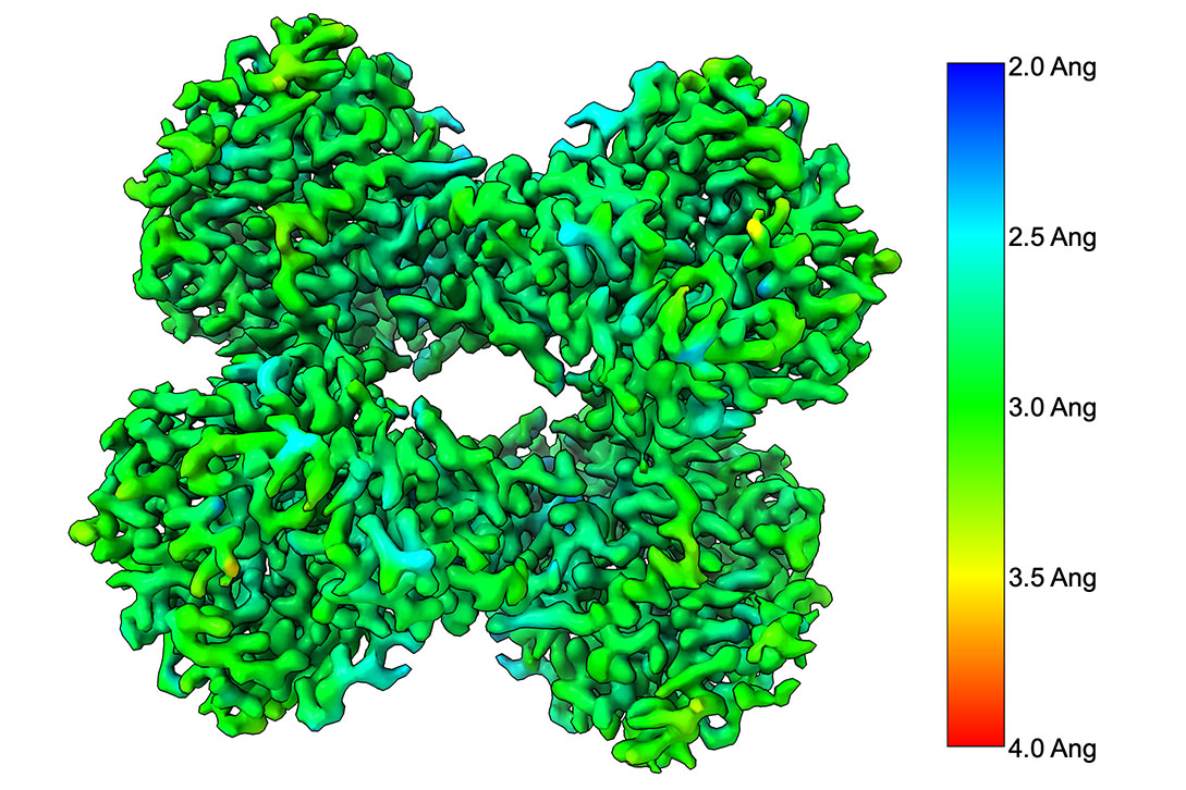 3D protein strucutre determination by high resolution cryo-EM structural biology services nano imaging services cryo-EM CRO