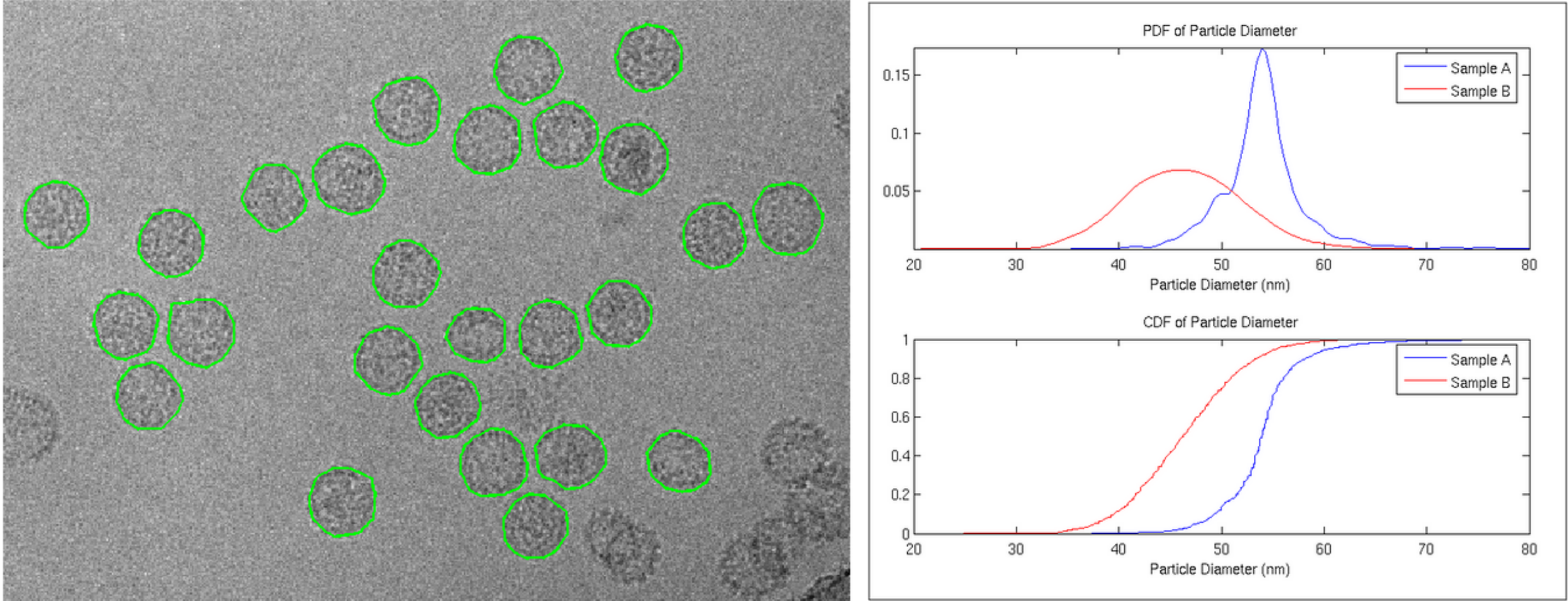 Examples of particle sizing traces and particle diameter curves for HPV VLPs Nanoparticle characterization Nano Imaging Services