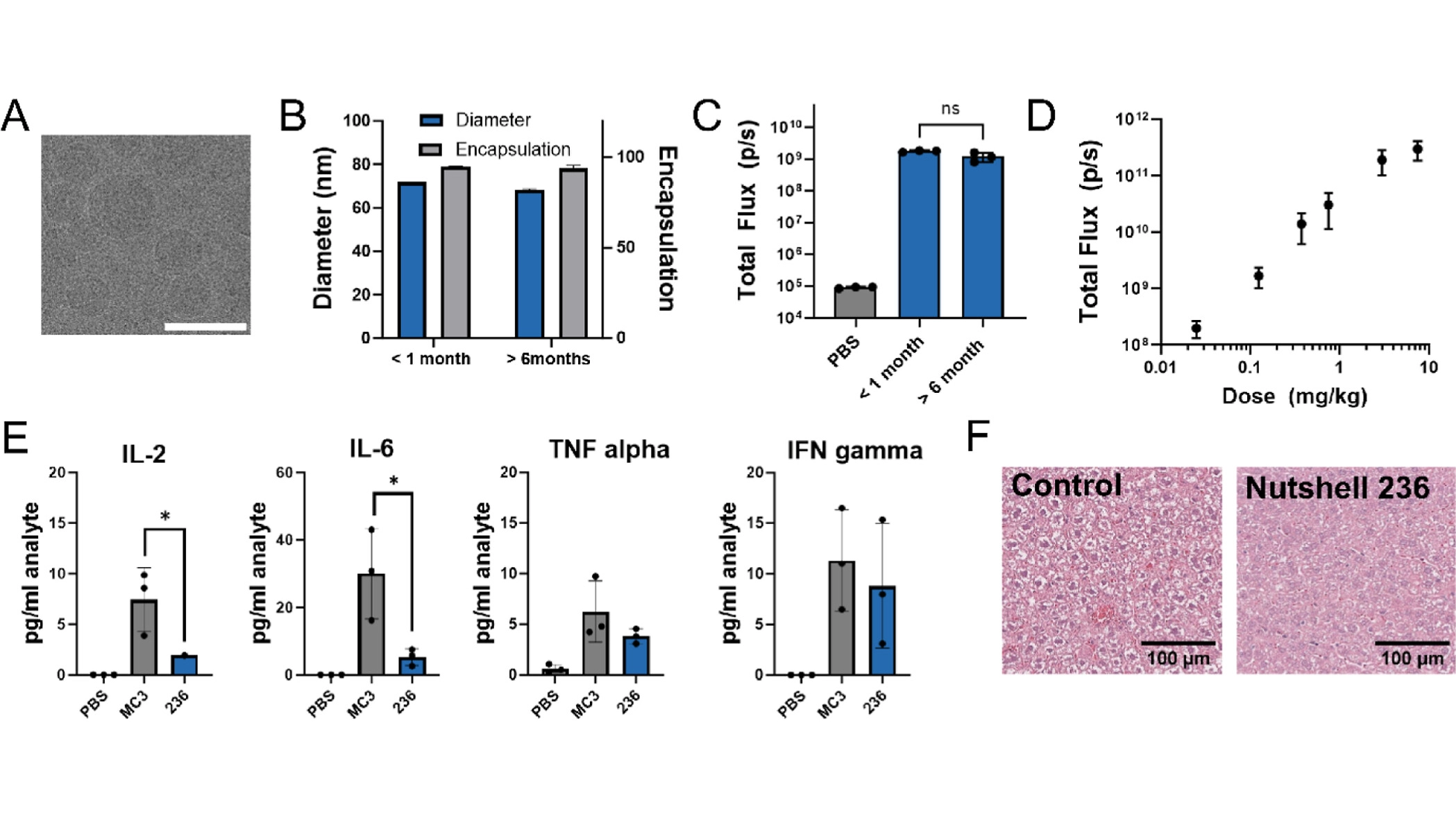 Discovery of a Peptoid-Based Nanoparticle Platform for Therapeutic mRNA Delivery via Diverse Library Clustering and Structural Parametrization