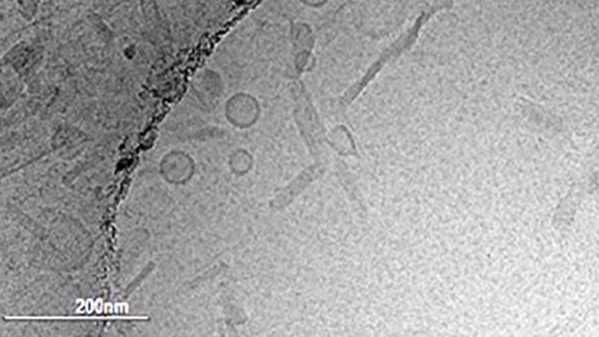 Optimizing a Multi-Component Intranasal Entamoeba Histolytica Vaccine Formulation Using a Design of Experiments Strategy