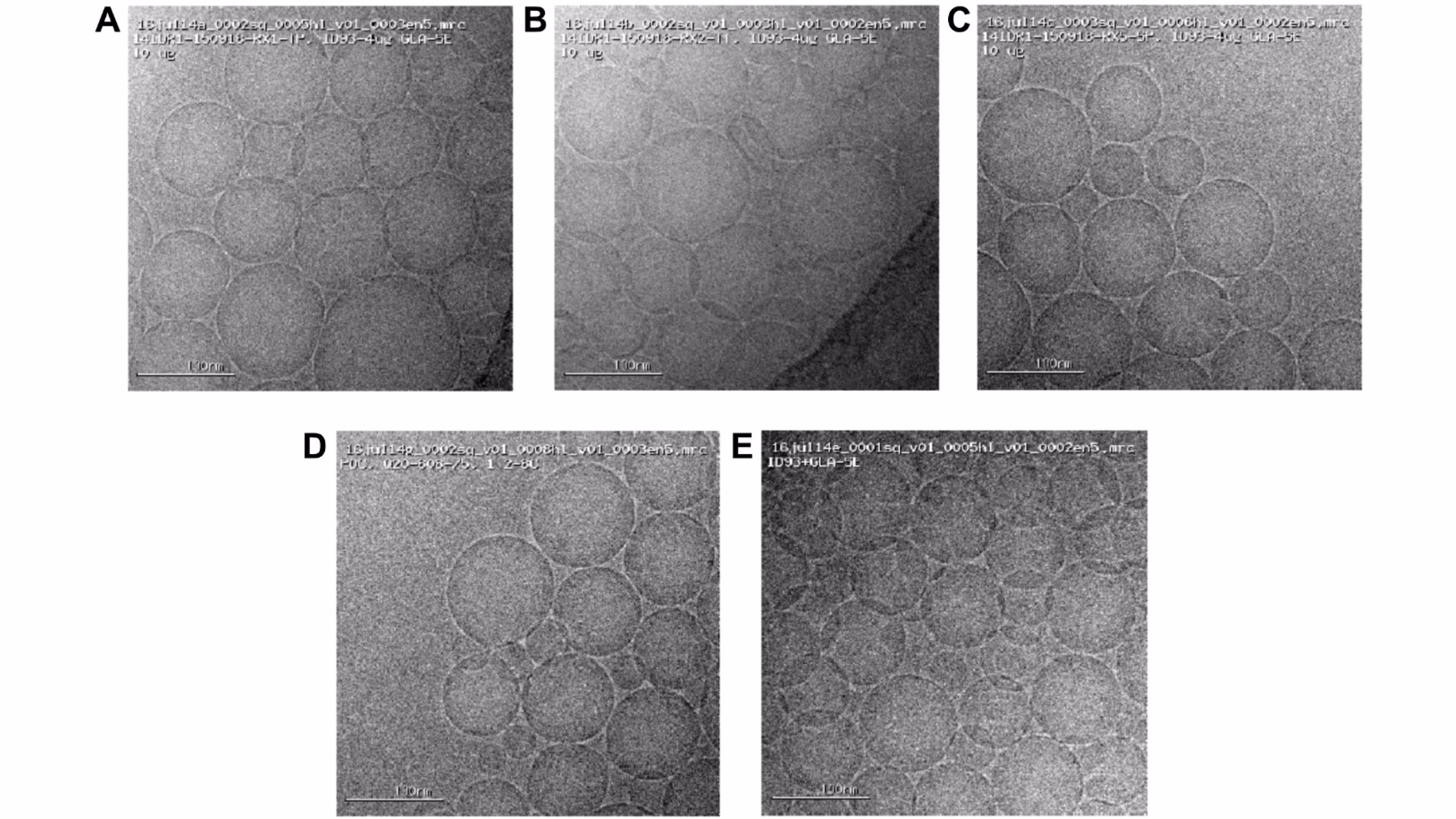 Stressed stability and protective efficacy of lead lyophilized formulations of ID93+GLA-SE tuberculosis vaccine
