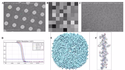 Routine collection of 10,000 direct detector movies a day using Leginon