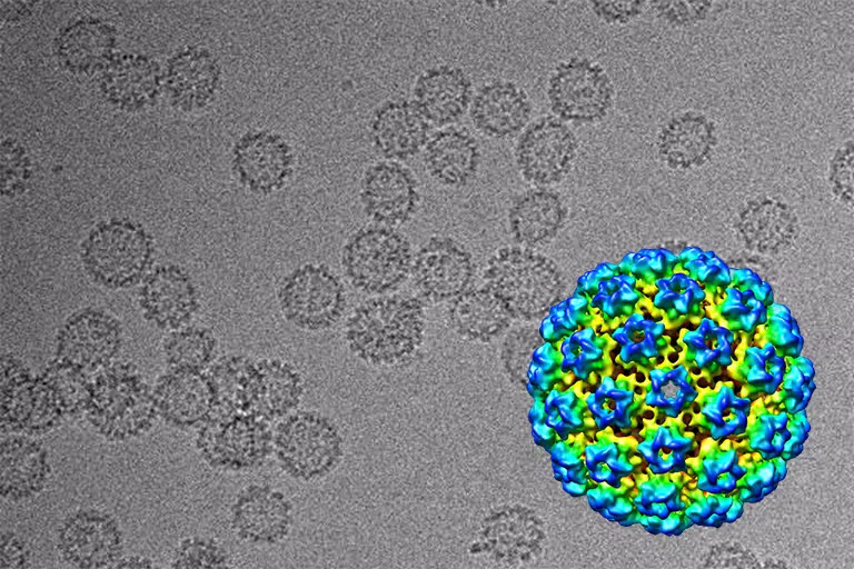 Analyzing Vaccines at Nanoscale