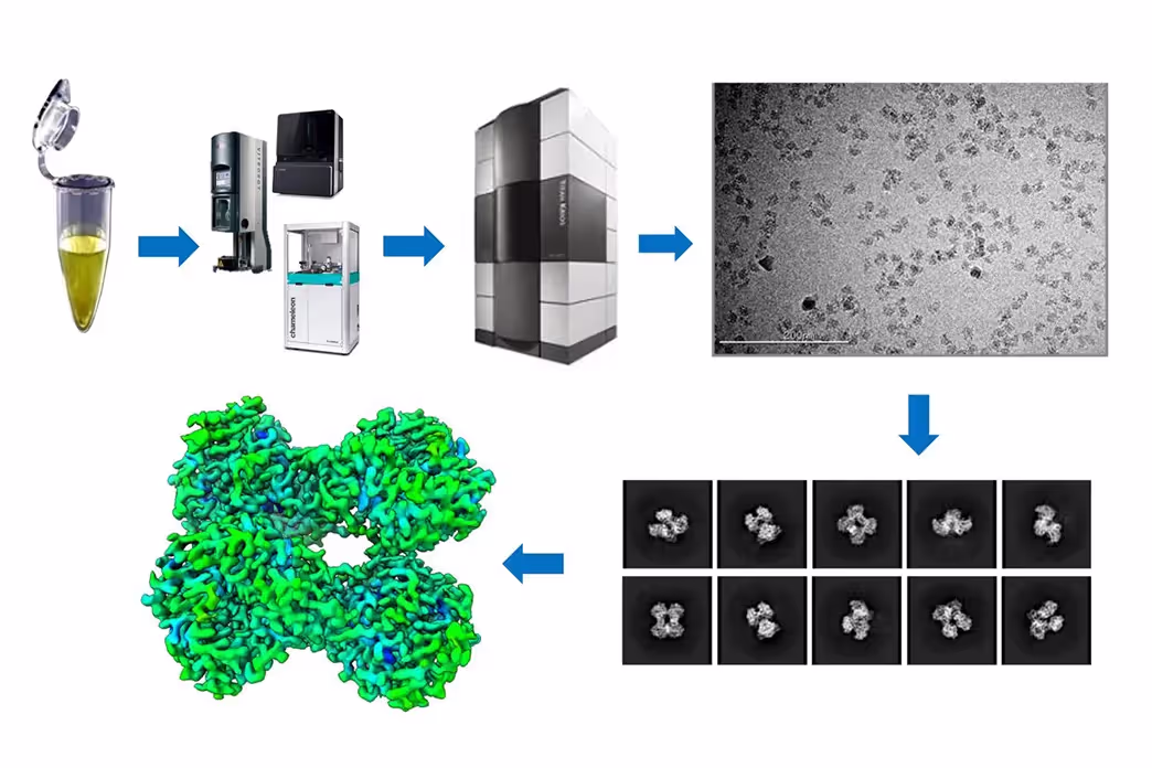 Cryo-EM Incites a “Resolution Revolution,” Rousing Drug Discovery