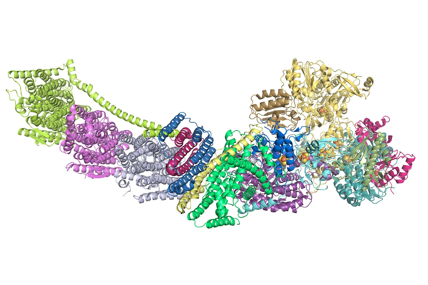 NanoImaging Services Announces Collaboration with Viva Biotech