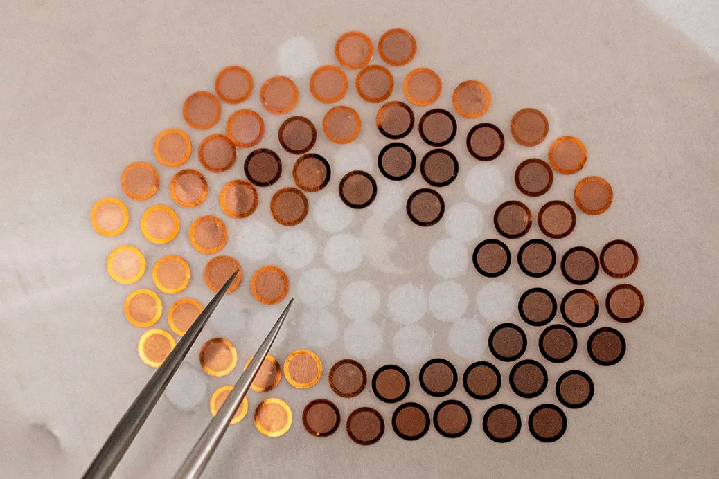 NanoImaging Services Opens New West Coast Facility to Support Growth of Cryo-EM Network