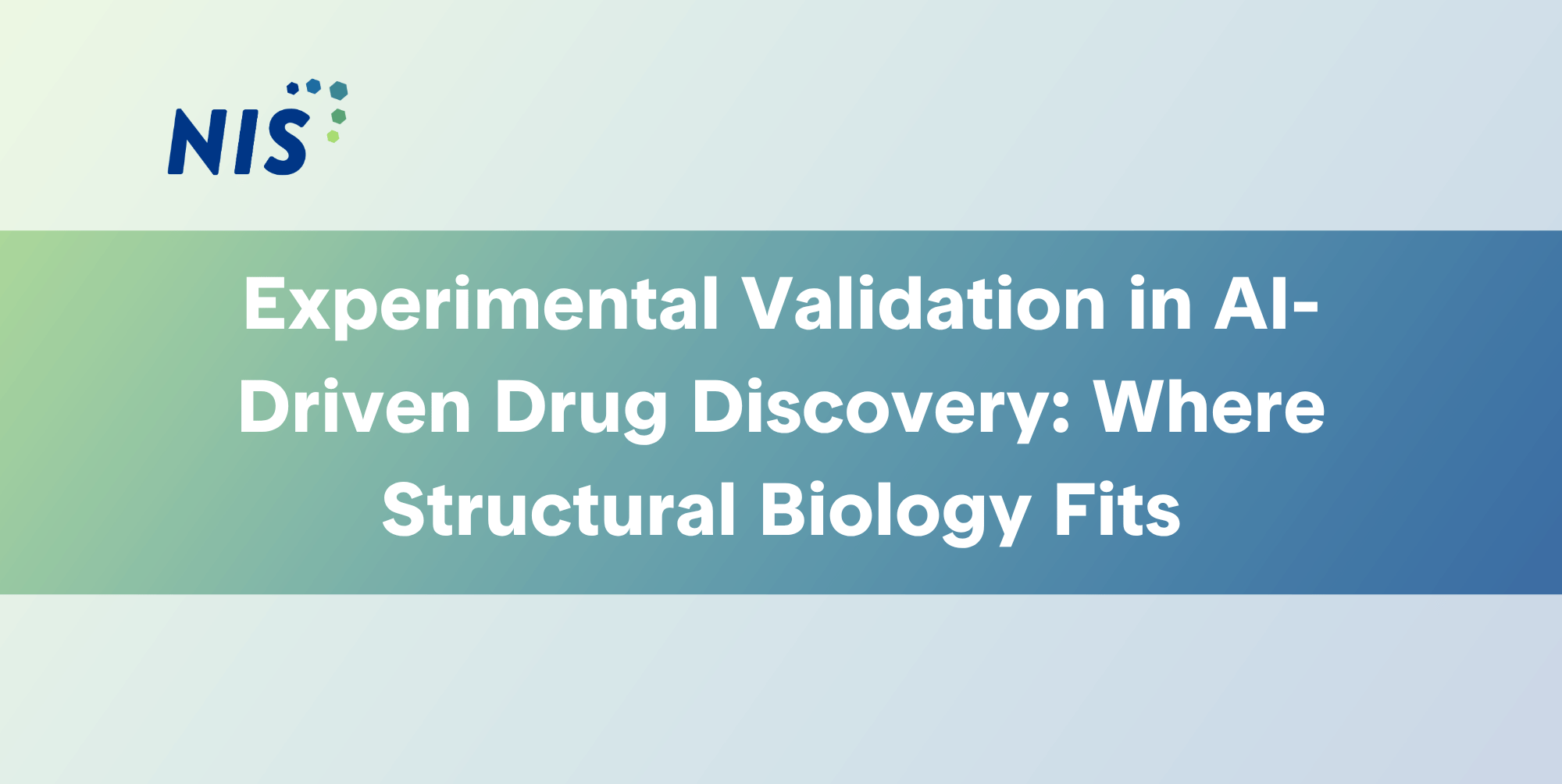 Experimental Validation in AI-Driven Drug Discovery: Where Structural Biology Fits