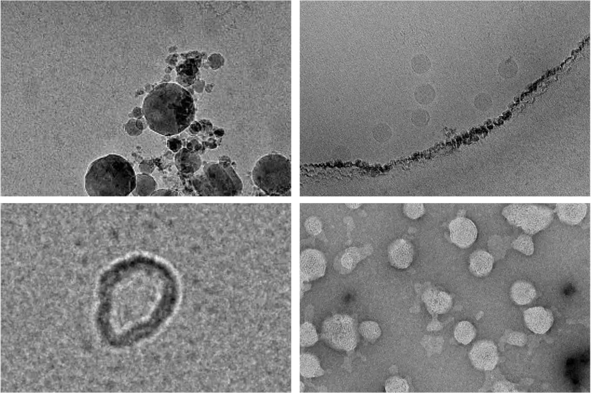 From Ice Contamination to Carbon Artifacts: A Guide to Understanding & Overcoming TEM Imaging Challenges
