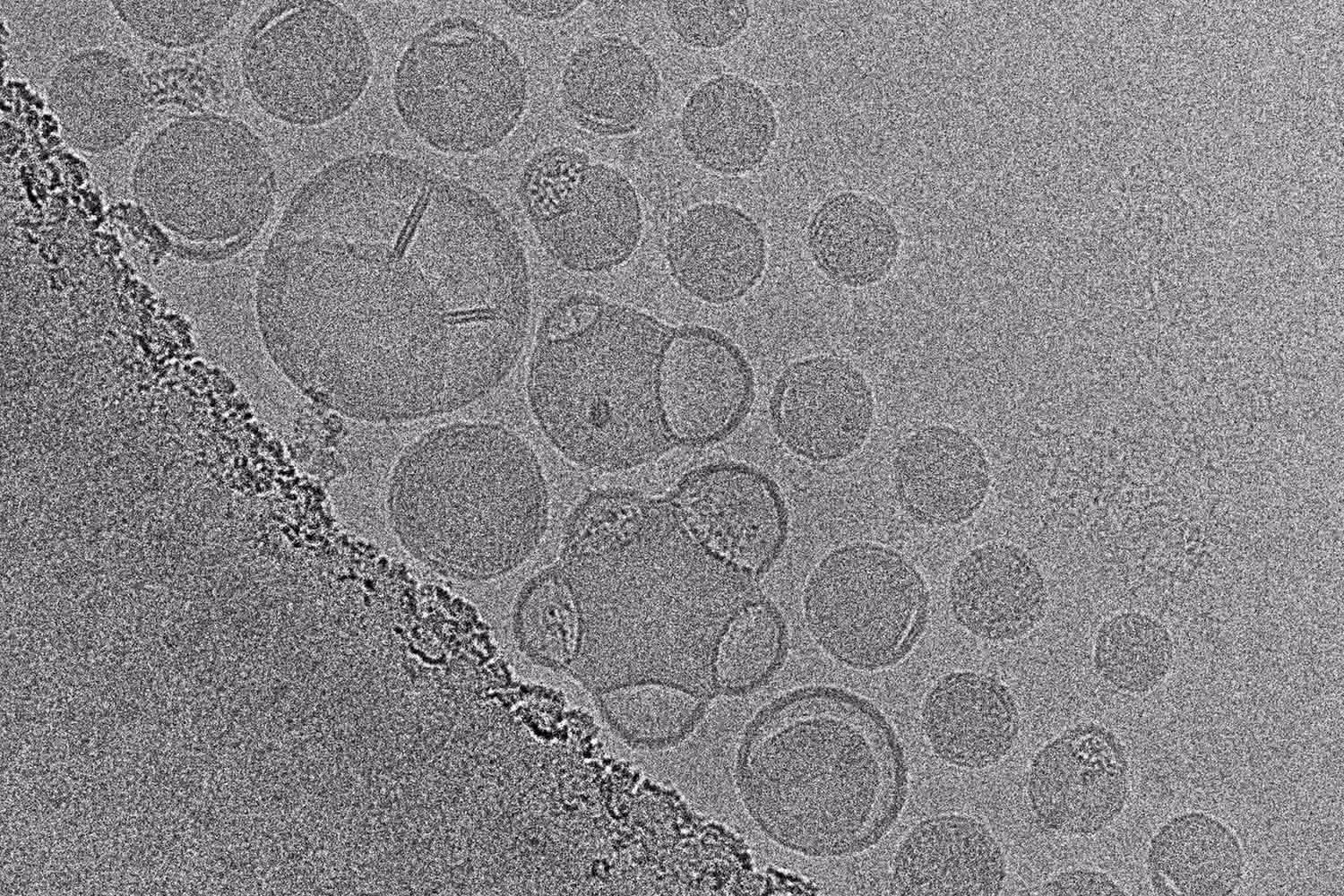 Harness the Power of Cryo-EM