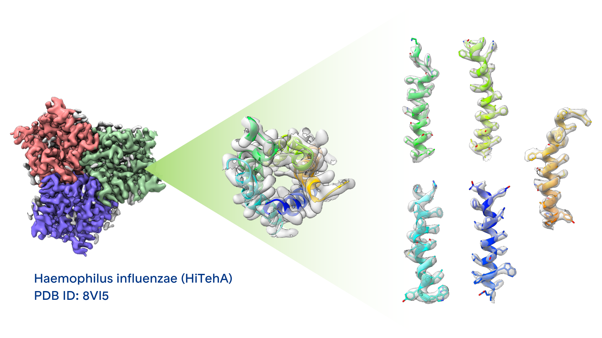 Cryo-EM in Focus: Transforming the Landscape of Membrane Protein Research