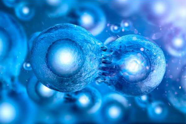 How to Select a Recombinant Protein Expression System
