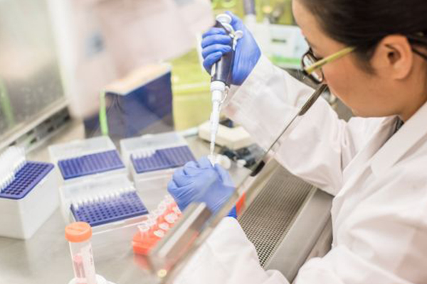Recombinant Protein Production Best Practices: From Pilot Experiments to Scale-Up