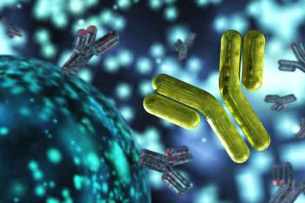 Recombinant Antibodies vs Hybridomas: How to Choose a Production Strategy