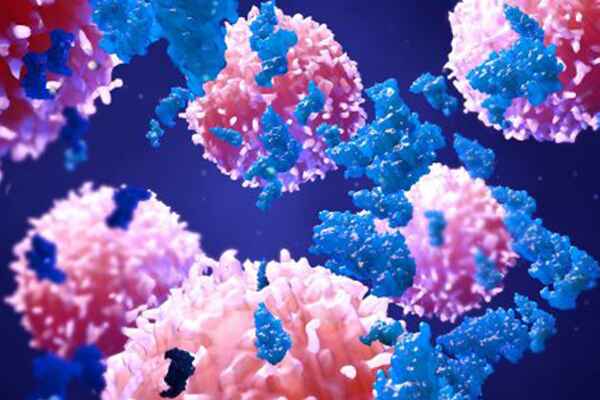 Recombinant Antigen Production: From Construct to Fit-for-Use Protein