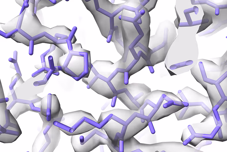 The Glycerol Dilemma: the Tradeoff between Stability and Contrast in Cryo-EM