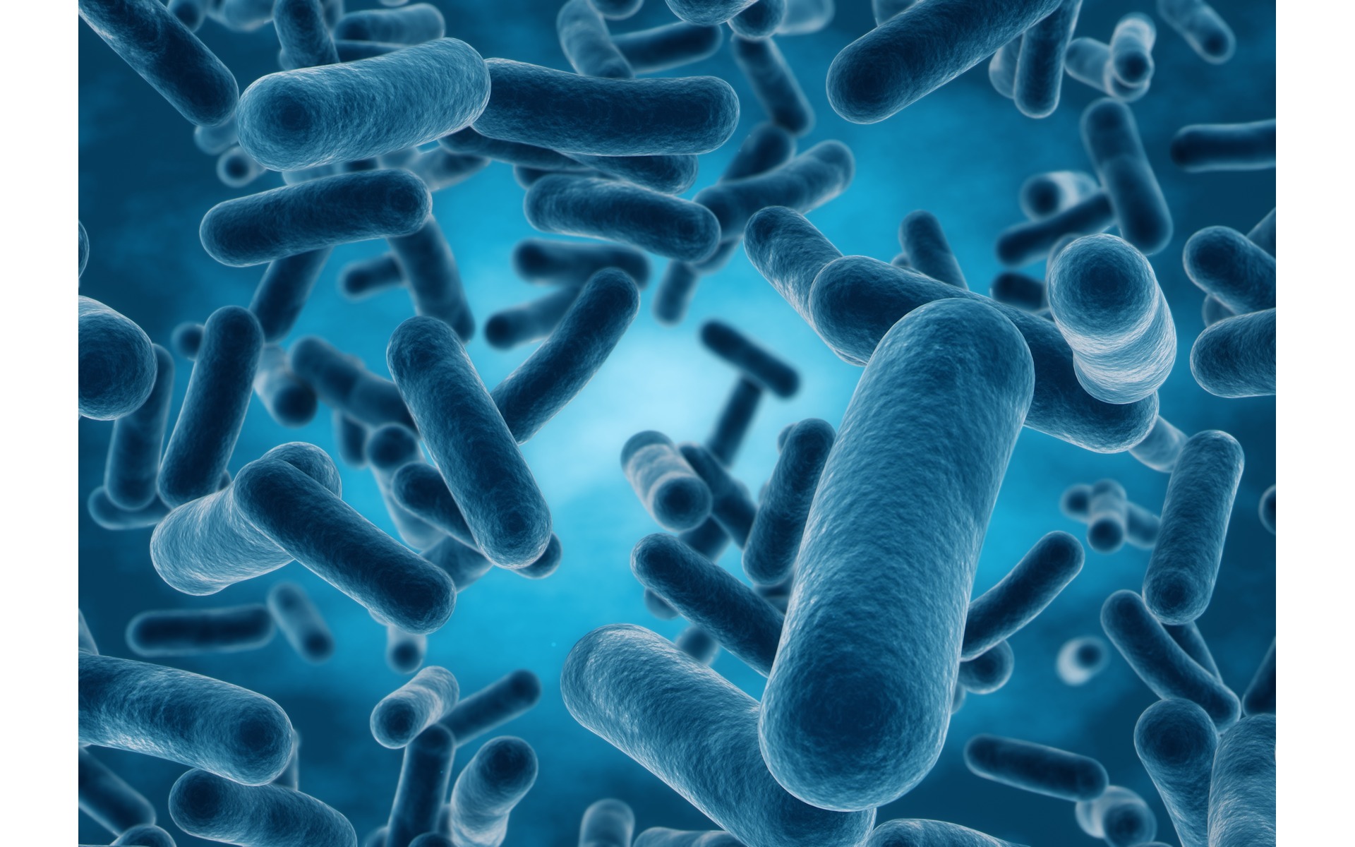 Prokaryotic Fusion Proteins: Tag Selection, Placement and Removal
