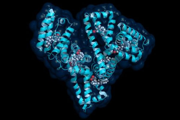 Mammalian Fusion Proteins: Partner Selection, Placement and Removal