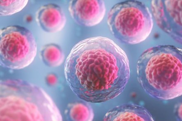 Eukaryotic Signal Sequence Selection for Recombinant Protein Secretion