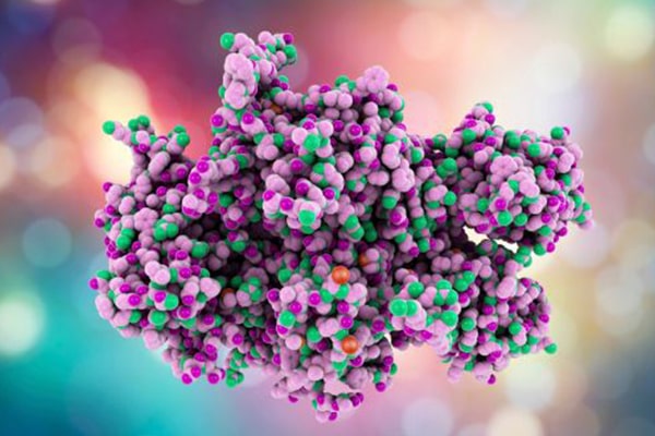 Generating Multiple Expression Constructs for Recombinant Protein Production