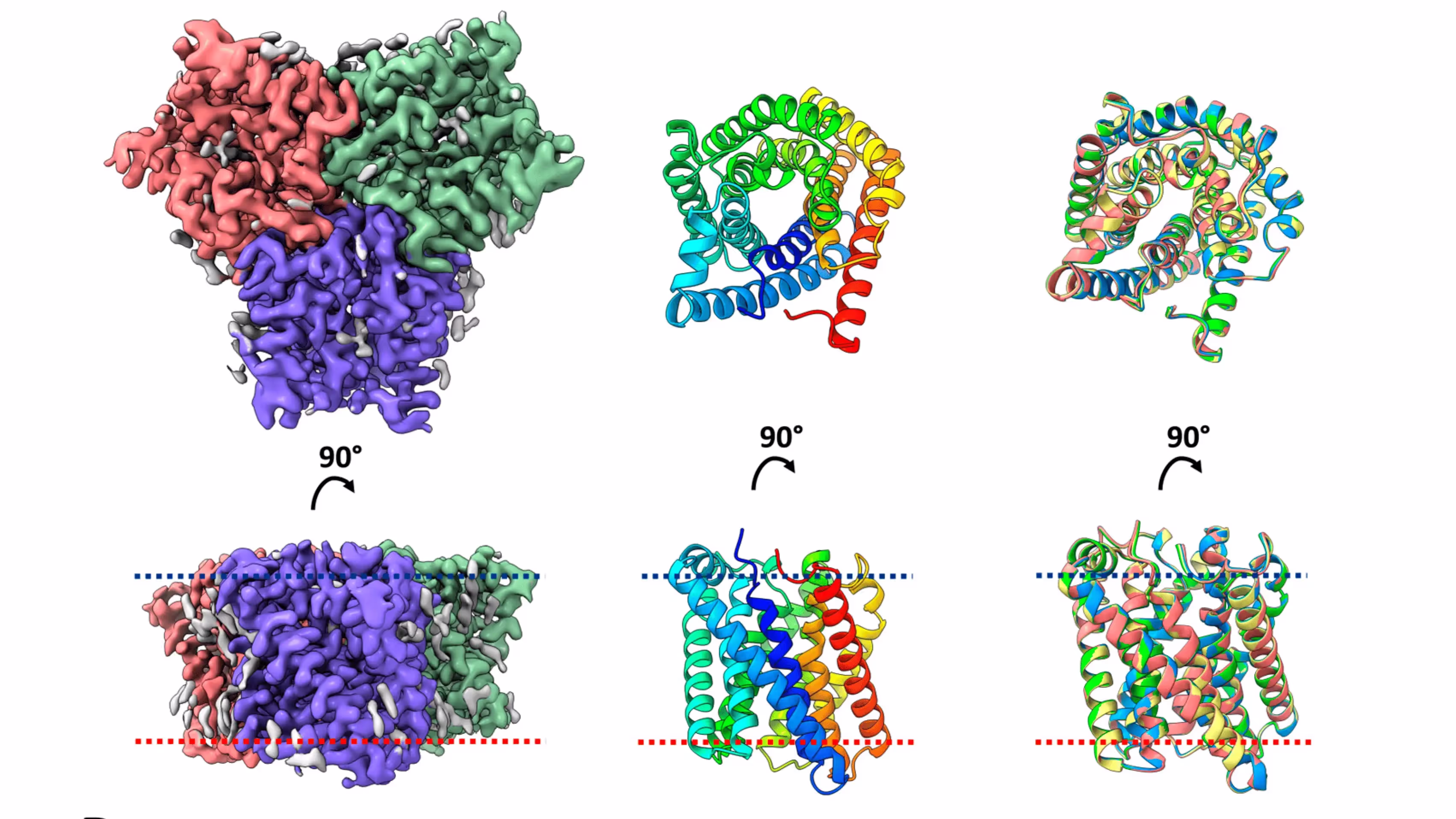 High-Resolution Cryo-Electron Microscopy Structure Determination of Haemophilus influenzae Tellurite-Resistance Protein A via 200 kV Transmission Electron Microscopy