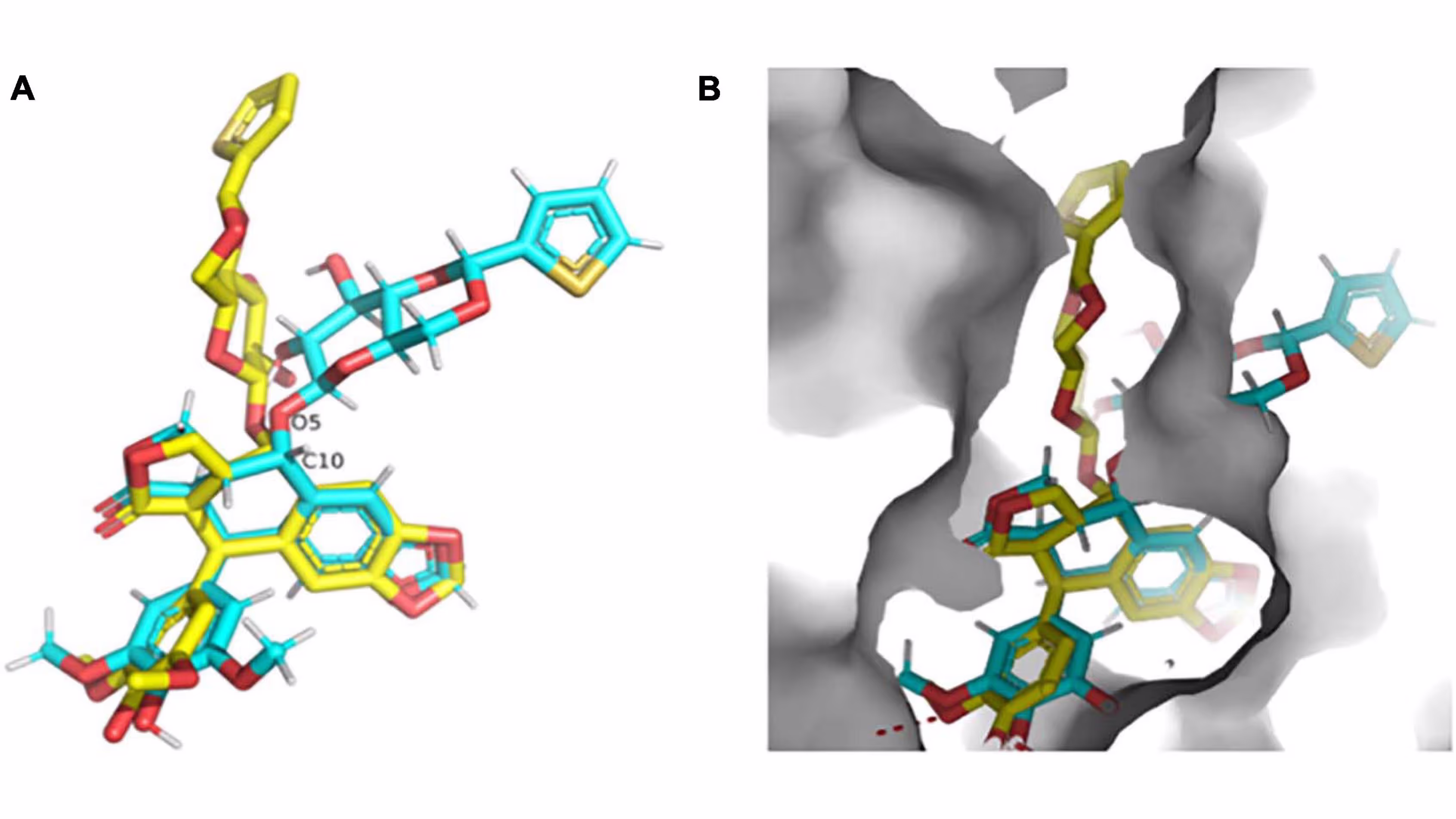 Small Molecule Microcrystal Electron Diffraction for the Pharmaceutical Industry Lessons Learned From Examining Over Fifty Samples