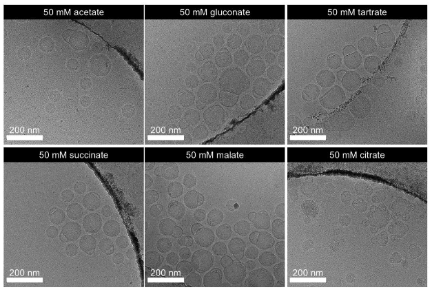 Bleb formation induced by acidic mixing buffers improves liquid stability of mRNA-LNPs