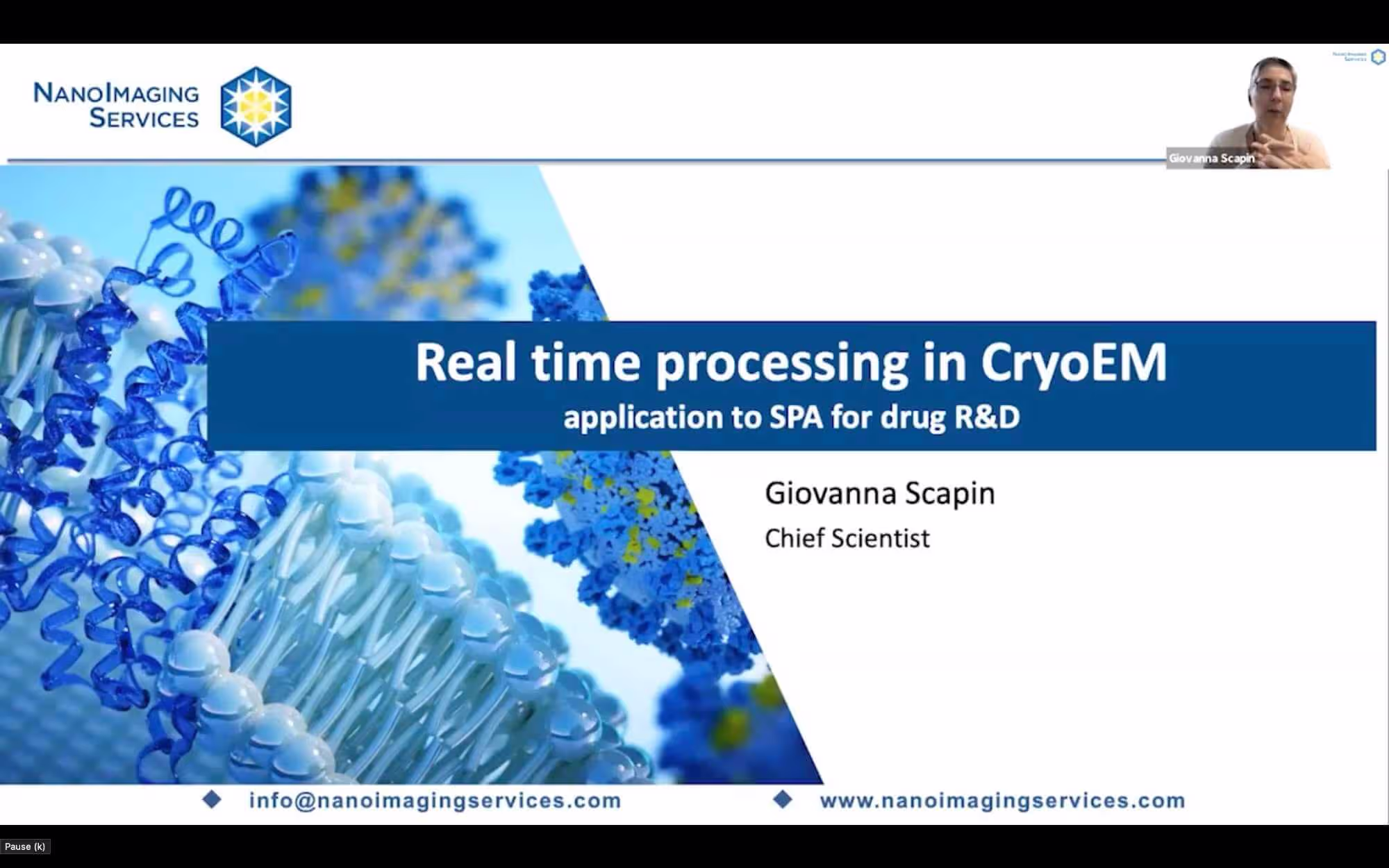 Real-Time Cryo-Electron Microscopy Analysis with cryoSPARC