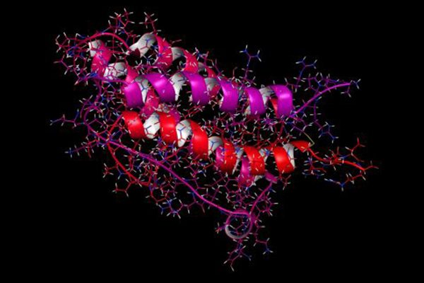 Molecular ribbon model representing a recombinant protein construct