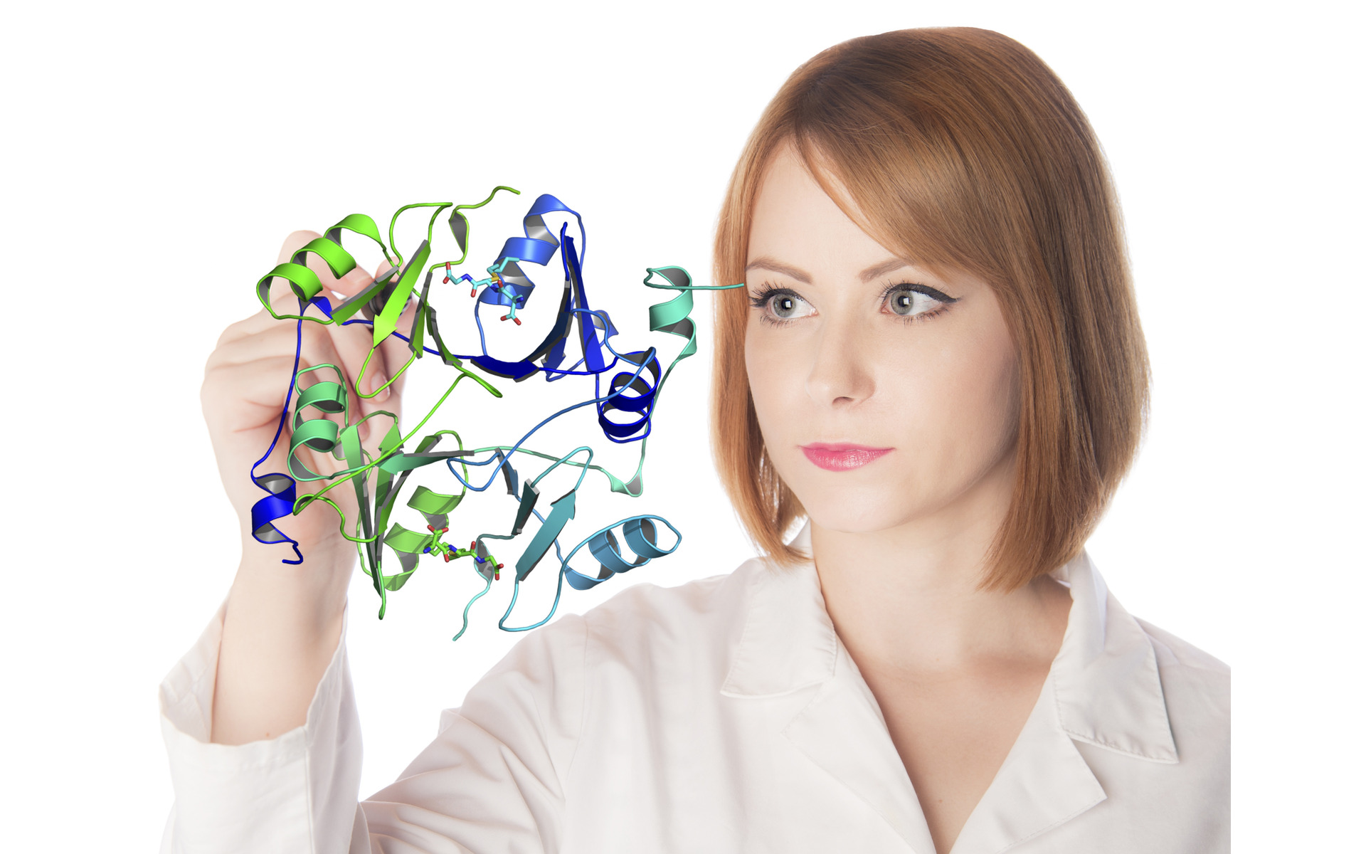 Scientist examining a molecular model during recombinant protein construct design